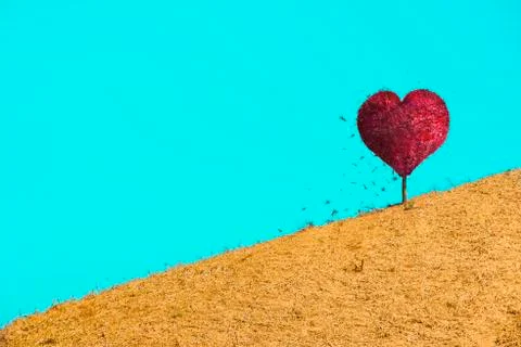 The hill Tree in shape of heart on light blue backgroud with space for text,  Stock Photos