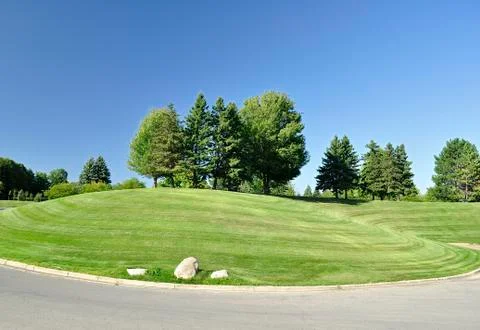 Hill with trees Stock Photos
