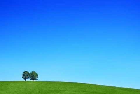 Hill trees Stock Photos