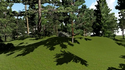 Hill with tress Stock Footage 337955620