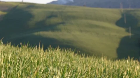 Up on the hill in Tuscany Stock Footage 88787566