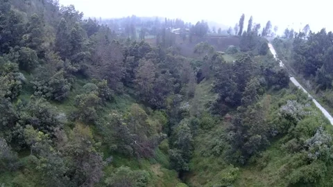 The hill under the Bromo volcano Video stock 202004912