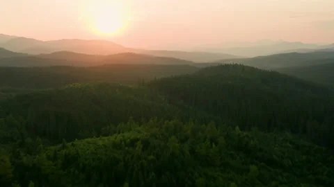 Hill valley mountains tree forest pine sun sunset nature plant Stock Footage 158776641