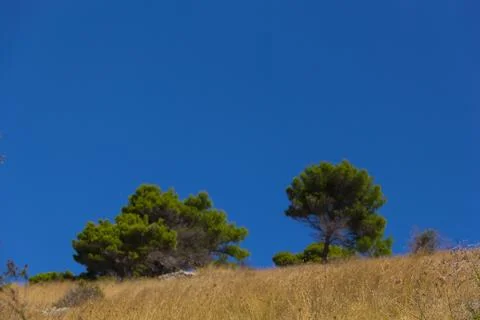 Hill of Vieste Stock Photos