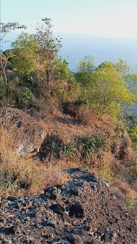 Hill view Stock Footage 284489463