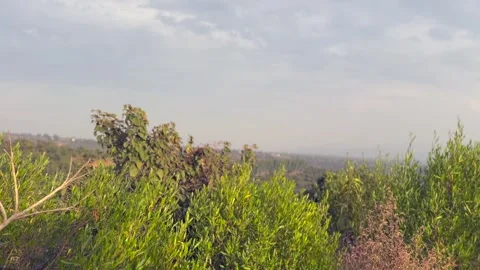 Hill view Stock Footage 324510256