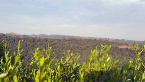 Hill view Stock Footage 324510295