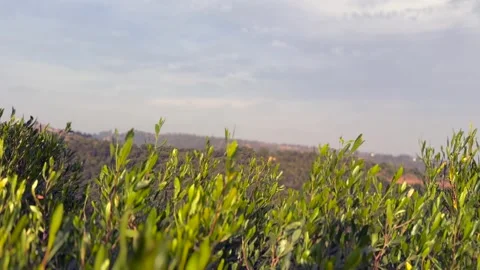 Hill view Stock Footage 324510297