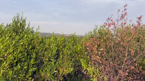 Hill view Stock Footage 324510488