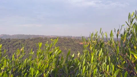 Hill view Stock Footage 324510504