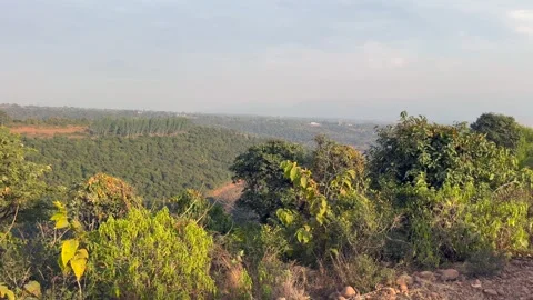 Hill view Stock Footage 324510518