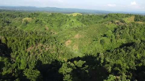 Hill view of Khagrachari Stock Footage 251426617