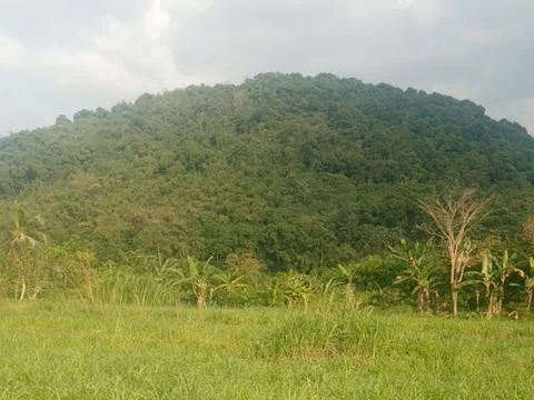 Hill view in a village Stock Footage 245621112