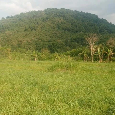 Hill view in a village Stock Footage 245621579