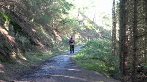 Hill Walker Video stock 10712924