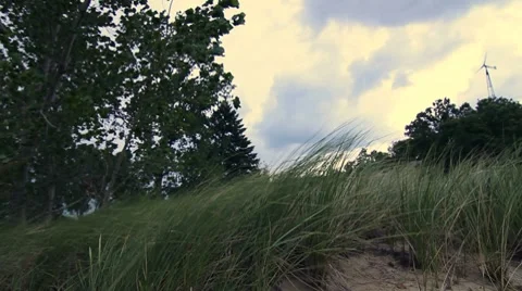 Up the Hill. Wind 15 sec Stock Footage 8520603