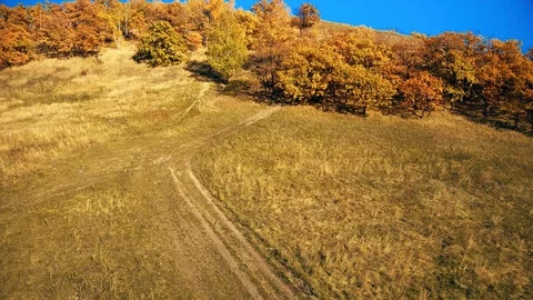 The hill is wooded Stock Footage 101068032