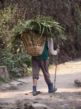 Hill worker or labour Foto stock