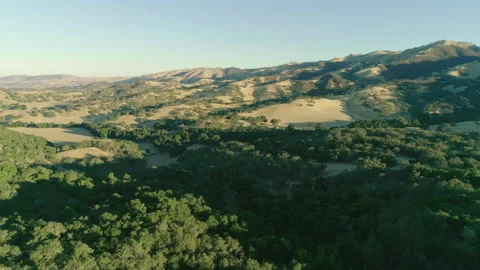 Hills and forest 動画素材 139048782