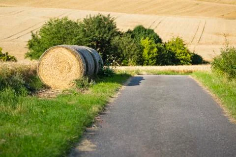 Hills And Golden Fields Stock Photos