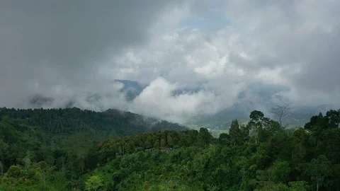 Hills and mountains covered with forest on the North of Bali. Aerial 4k footage Stock Footage 105673003
