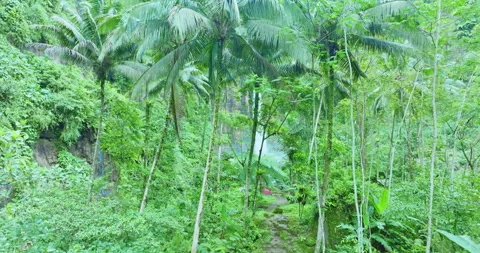 The hills and mountains in Java are full of amazing waterfalls, but one of th 库存影片 308312920