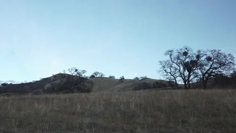 Hills and Trees During Dusk, Moon Visible, Gimbal Pan Stock Footage 146155211