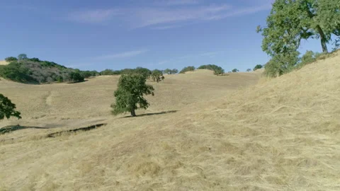 Hills and trees 動画素材 139049707