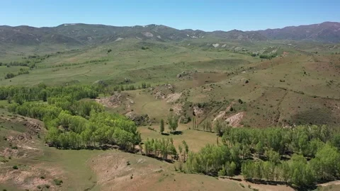 Hills and trees Stock Footage 294128990