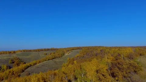 The hills are covered with trees Stock Footage 99744075