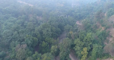 Hills Arial, 4k, Forest Stock Footage 103790103