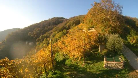 Hills in autumn Stock Photos
