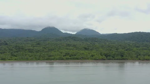 HILLS BEACH Stock Footage 305427788