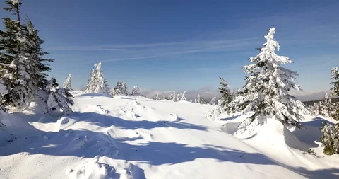 Hills covered in snow. Sunny, cold day in Sudety Mountains.  Video stock 88769603