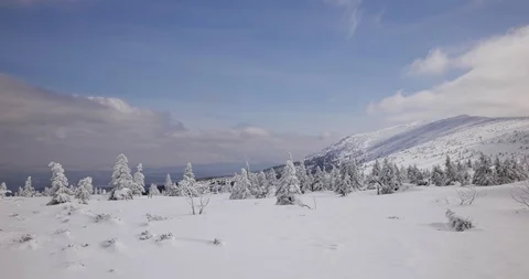Hills covered in snow. Sunny, cold day in Sudety Mountains. Stock-Footage 88918490