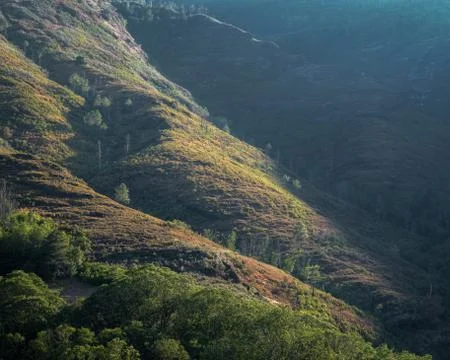 Hills cut by stream beds between sun and shade Stock Photos
