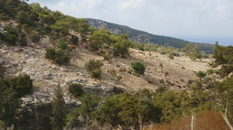 Hills of Cyprus Stock-Footage 54139129