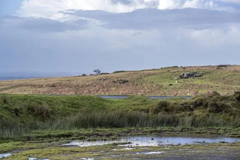 Up in the hills of Dartmoor Devon Foto stock