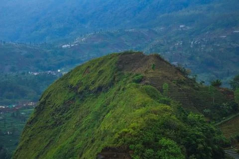Hills with dense greenery Stock Photos