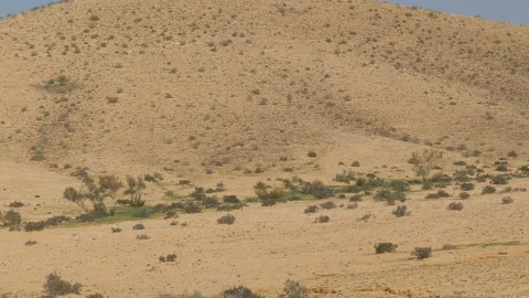 Hills in desert Stock Footage 93706865