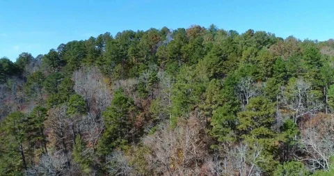 Into the Hills Vidéo 99846049