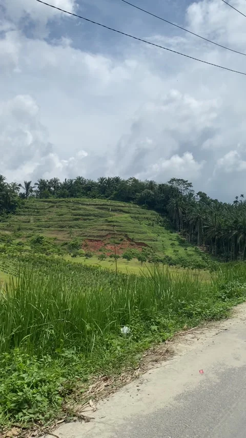 The hills Video stock 245669129