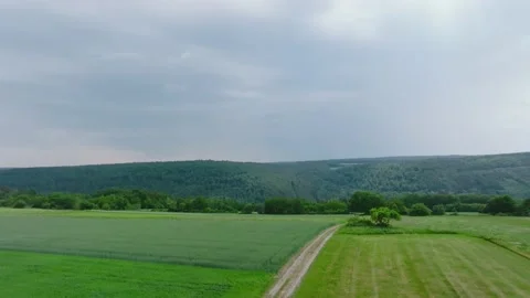 Hills, forest, road 動画素材 194897685