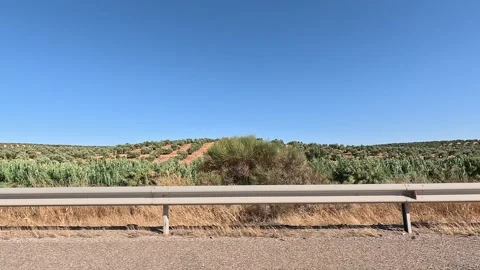 Hills full of olive trees fields seen from the highway Stock Footage 296488104