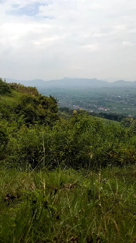 Hills with green vegetation, 動画素材 327190748