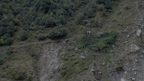 Hills of Himalayas, Vidéo 123346385