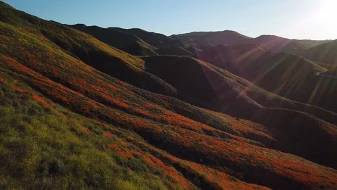 Hills of Lake Elsinore with a superbloom of wild flowers in vivid orange Stock Footage