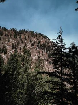 Hills landscape Foto stock