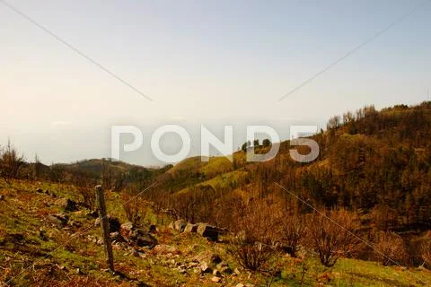 Hills, madeira island Stock Photos