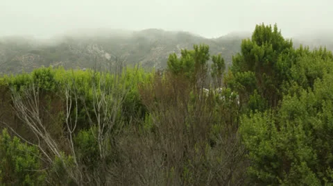 Hills outside Los Angeles Stock Footage 24789968